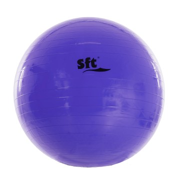 PELOTA GIGANTE SOFTEE