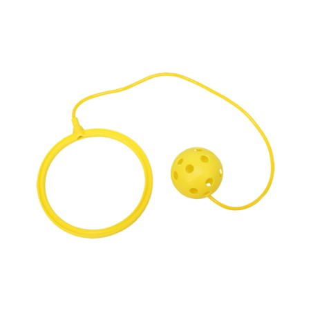 PELOTA CON ASA PELOTA CON ASA