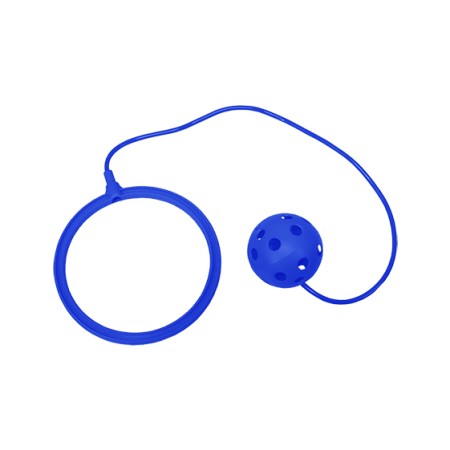 PELOTA CON ASA PELOTA CON ASA