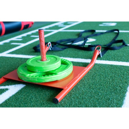 TRINEO ENTRENAMIENTO TRINEO ENTRENAMIENTO