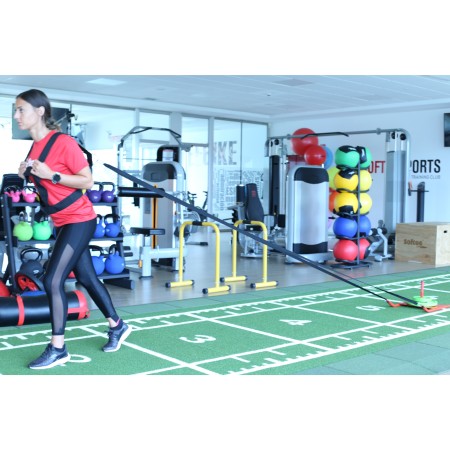 TRINEO ENTRENAMIENTO TRINEO ENTRENAMIENTO