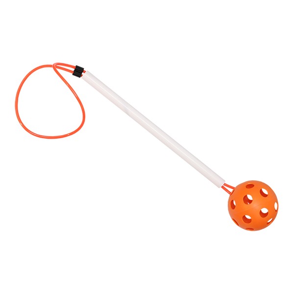 PELOTA CON MANGO
