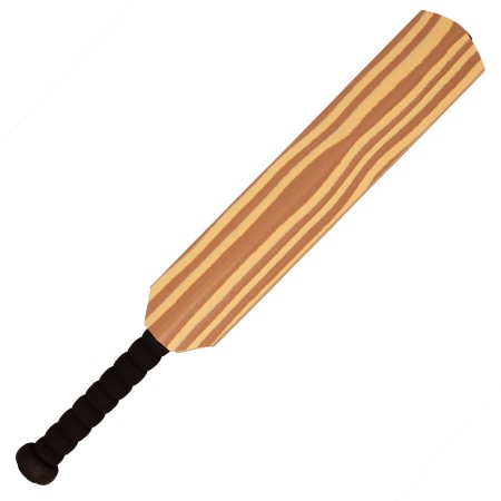 BATE CON PELOTA CRÍQUET SOFTEE