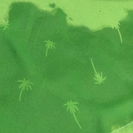 BAÑADOR SOFTEE PALM