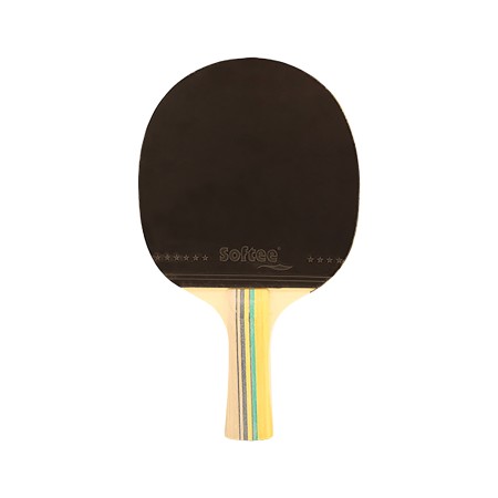 RAQUETA TENIS DE MESA SOFTEE P300