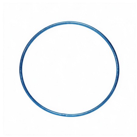 HULA HOOP SHINE